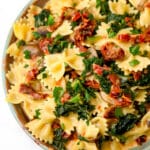 A close up of a white plate filled with vegan sundried tomato pasta.