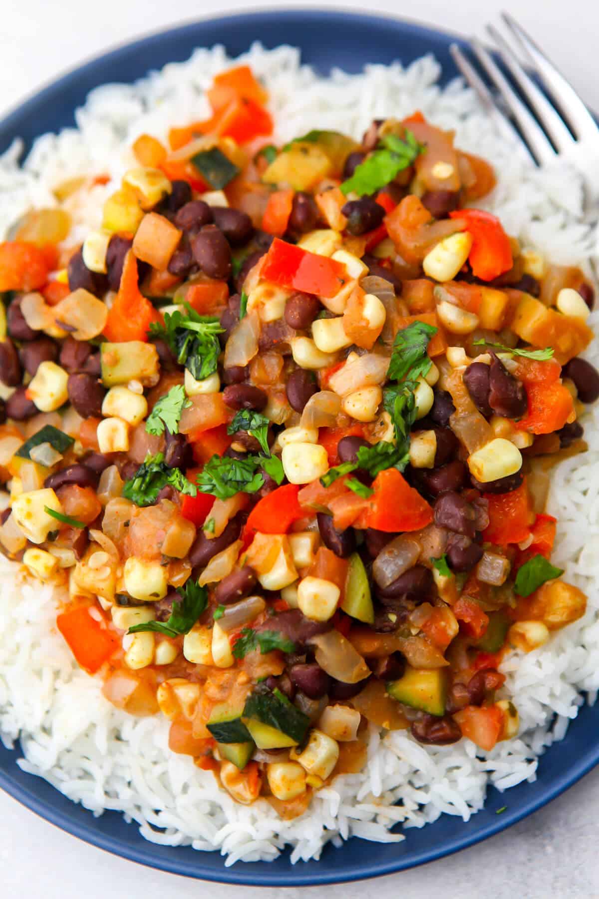 A top view of a vegan Mexican vegetable stir fry.