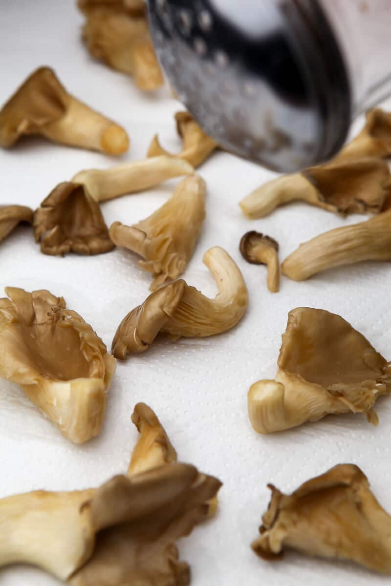 Oyster mushrooms on a paper towel being sprinkled with salt.