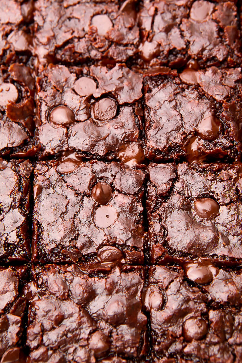 A top view of eggless brownies with chocolate chips on top cut into squares.
