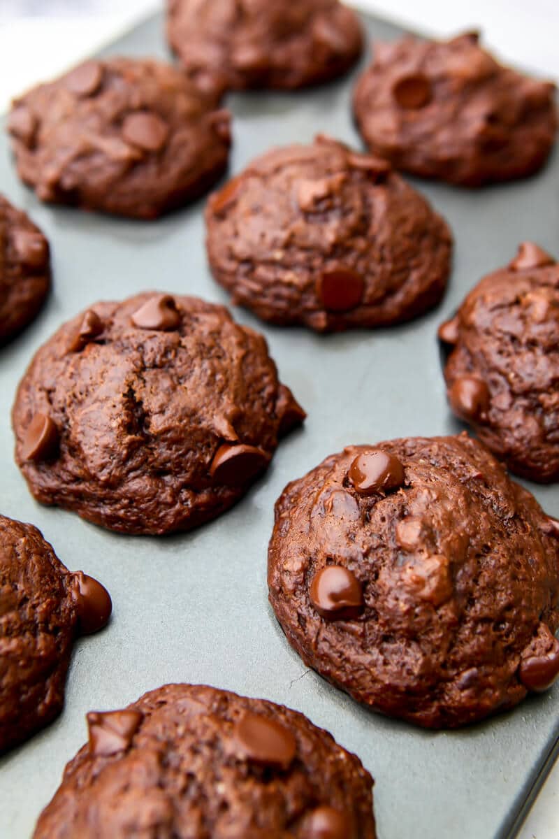 Baked vegan chocolate muffins with chocolate chips on top in muffin tins.