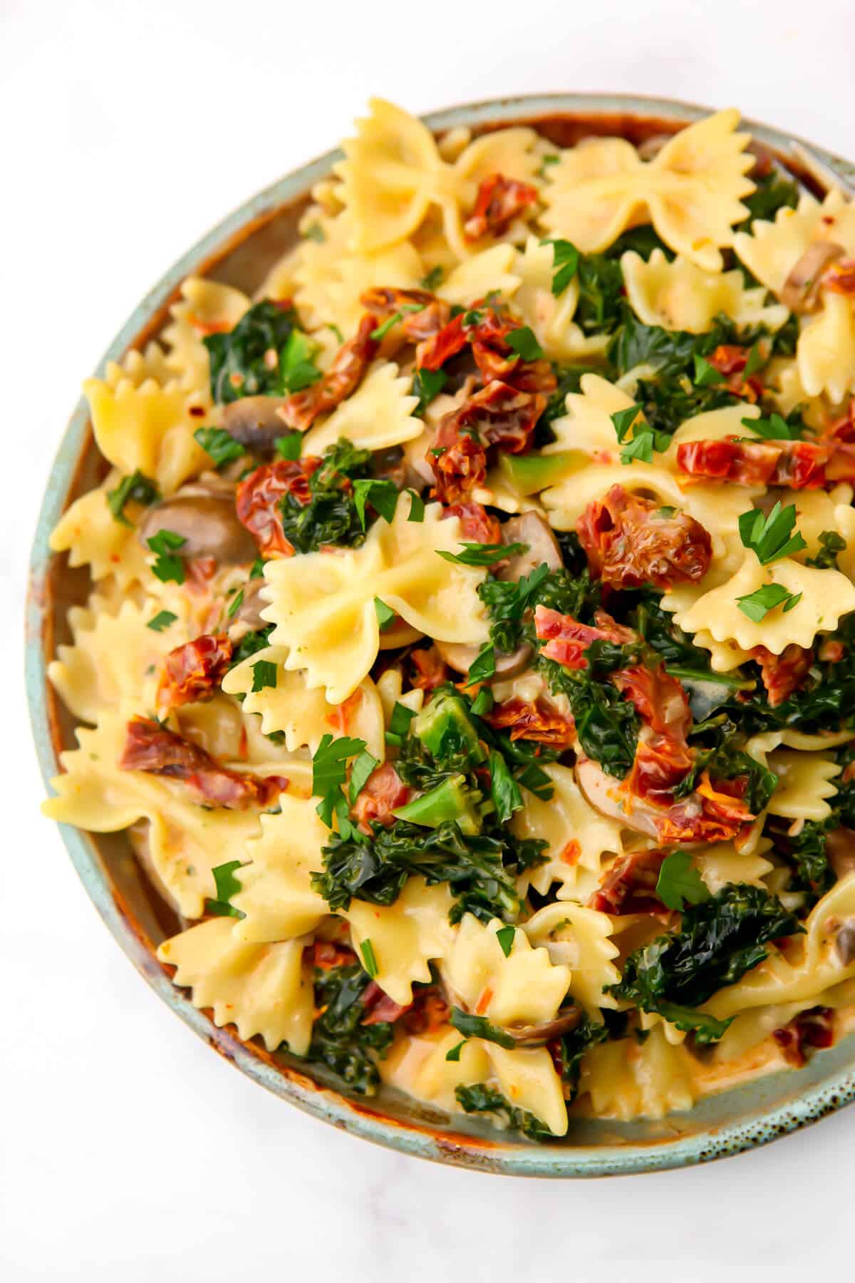 A top view of a plate filled with creamy sundried tomato pasta.